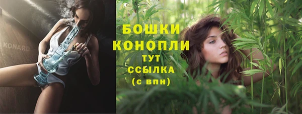 PSILOCYBIN Осташков