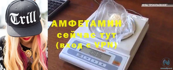 PSILOCYBIN Осташков
