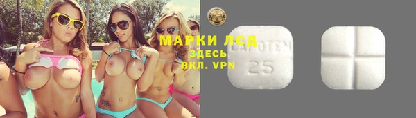PSILOCYBIN Осташков