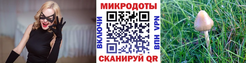 blacksprut ссылки наркошоп Зеленоградск Галлюциногенные грибы прущие грибы